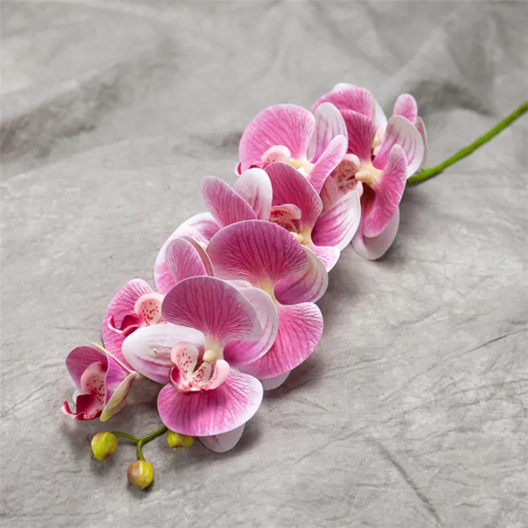 Cheap Wedding 9 Heads Real Touch Latex White Orchid Artificial For Arrangement Buy Orchid