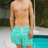 Turchese