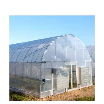 Low Cost Agricultural Greenhouse Planting Pots