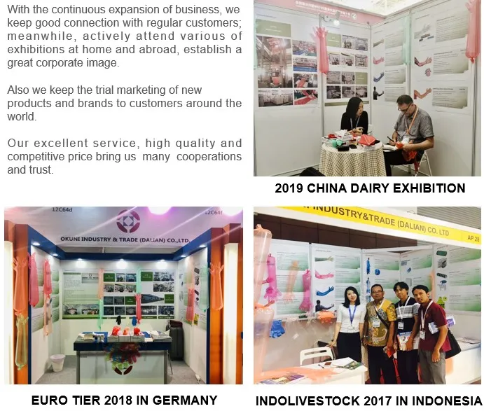 exhibition show.JPG