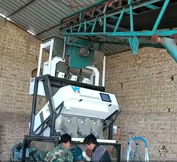 Rice Color Sorting Machine and Rice Color Sorter Machine for Rice Mill