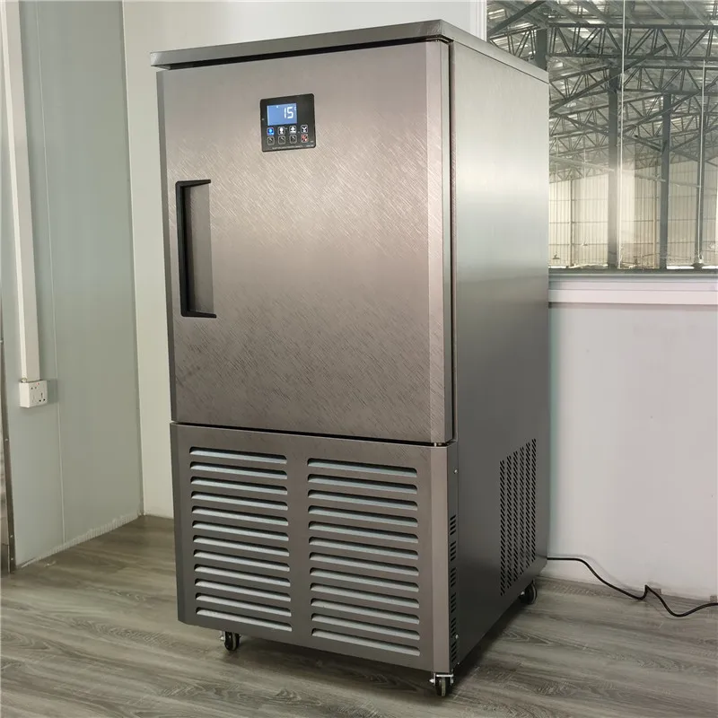 Commercial Kitchen Equipment Ice Cream Gelato Popsicle Hardening