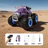 Yl-134 bullfight-purple