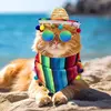 Conjunto Mexicano 2