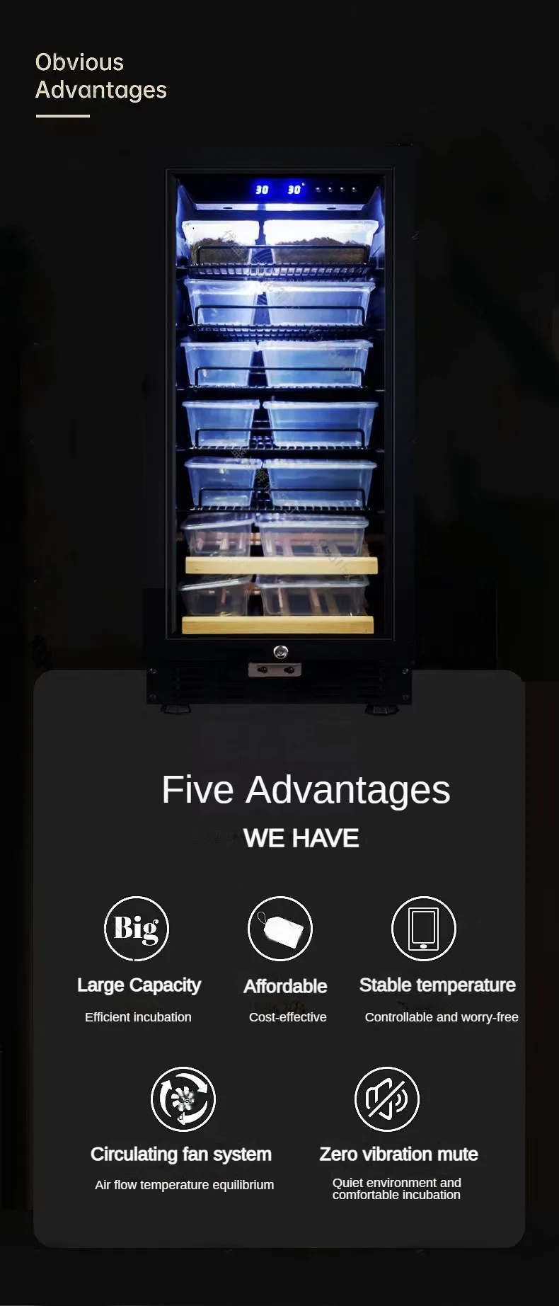 5DSU Wholesale Reptile Pet Hatching Box Snake Hatching Machine Reptile