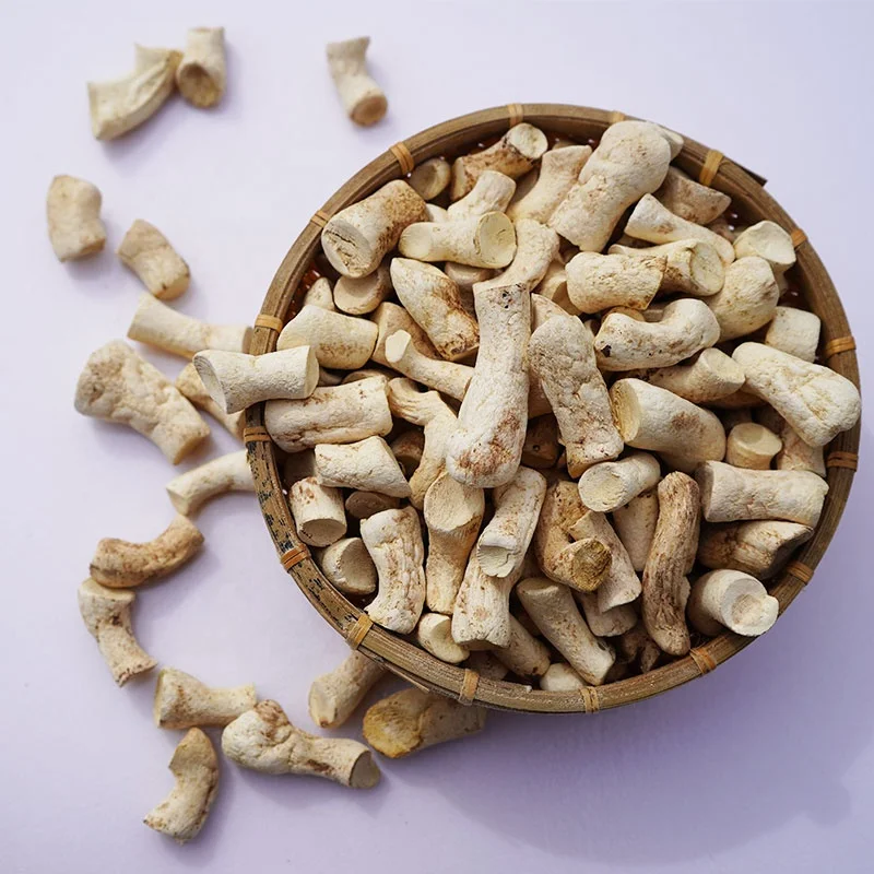 Excellent Quality Premium Stem Treated Dehydrated Mushroom champignon root