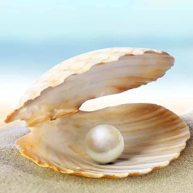 Разработано дома: японское высококачественное сырье для продуктов питания «японский жемчужный порошок» P12