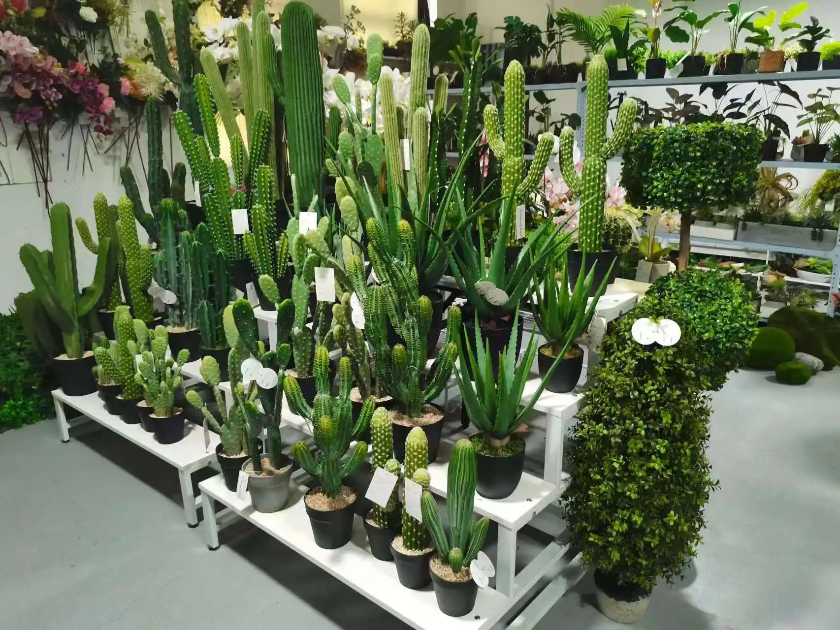 Latest Design Large Indoor Artificial Bonsai Tree Saguaro Cactus in Natural PE with Pot