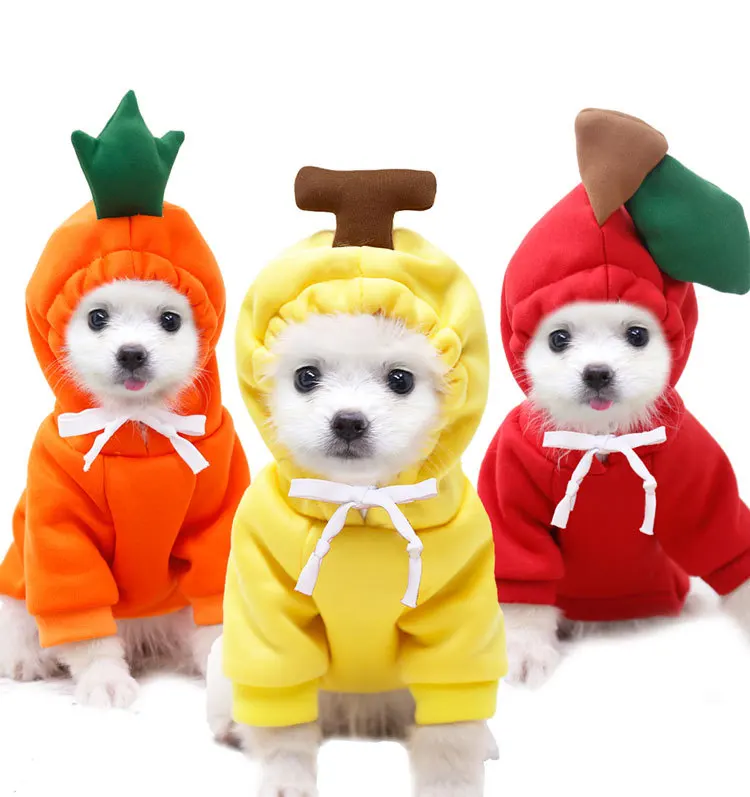 Fashionable Designer Dog Clothes: Buying New Clothes That Are