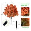 Violet planted in orange