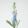 Digitalis blu