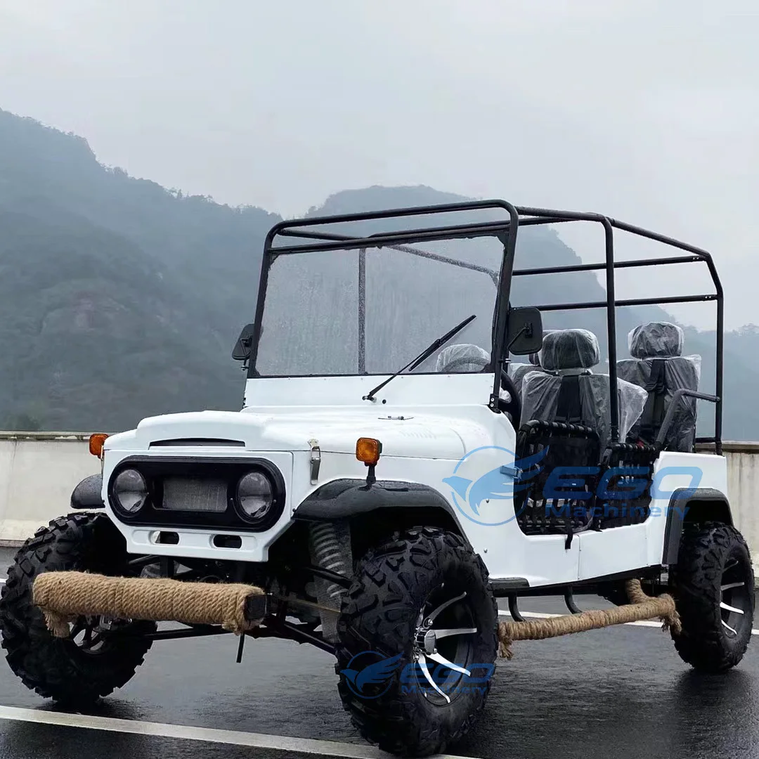 seater mini 4x4 buggy