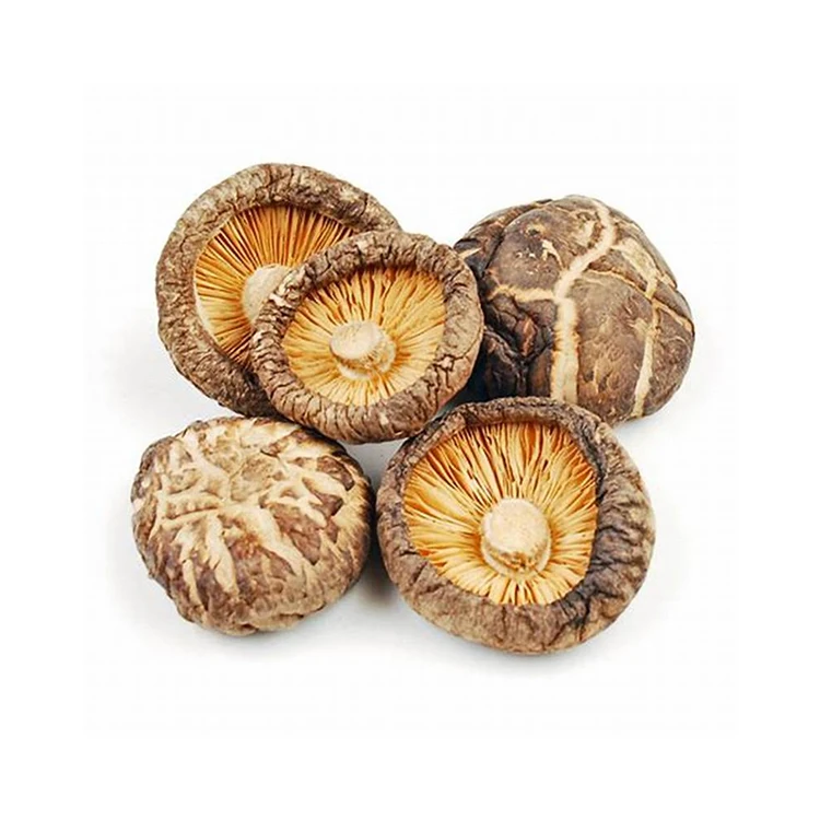 Sell high-protein low-fat mushrooms and vegetables rich in a variety of amino acids