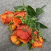 Spring caramel orange