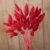 Couleur Rouge