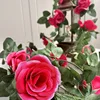 Rose vine with 16 large, rose-red flowers (1 vine)