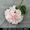 Coated hydrangea light pink