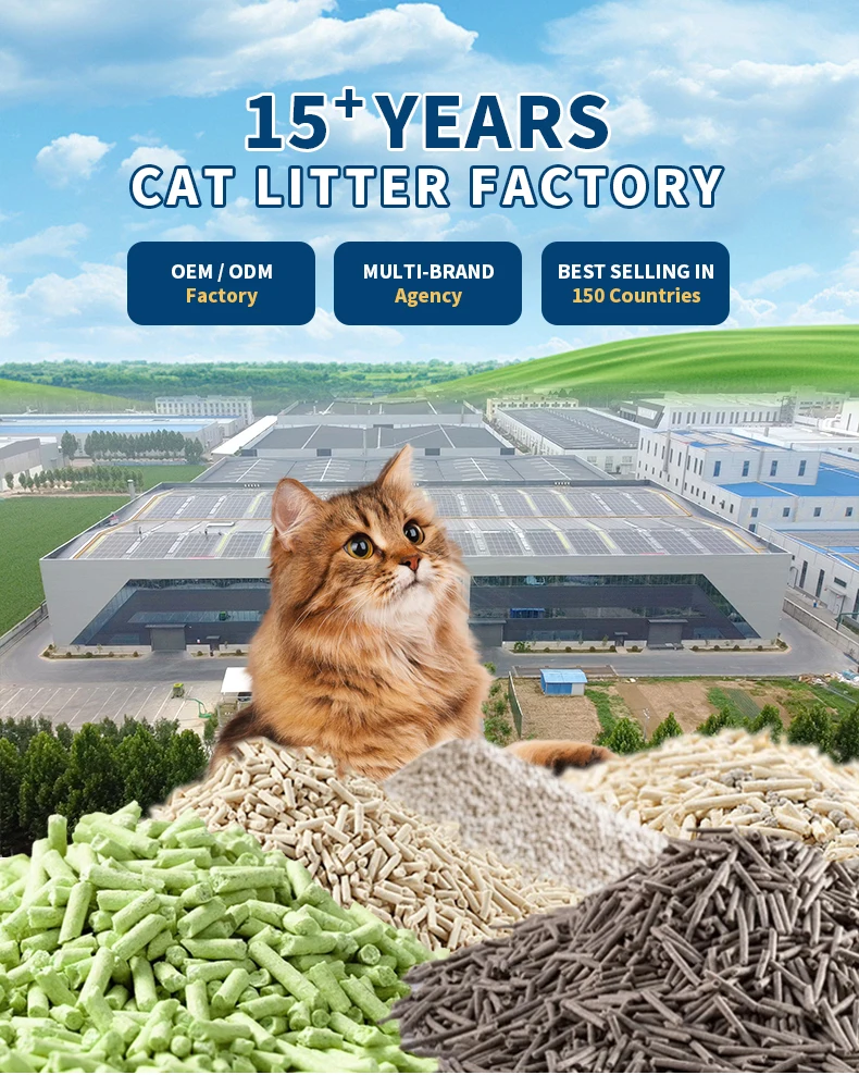 Fast Delivery Bulk Cat Litter Wholesale Eco Friendly Premium Dust Free ...