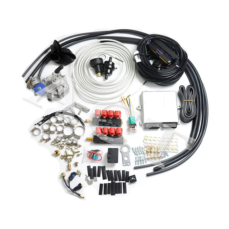 ACT Fuel Gas System  4/6/8 Cylinder Efi Conversion Kits Auto Parts CNG LPG Sequential Efi Conversion Kits Gas Equipment for Auto