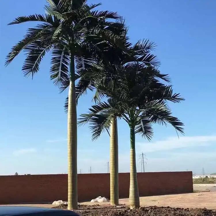 The Set of UV Resistant Artificial Palm Trees for Sale