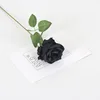 Silk cloth, black, green pole