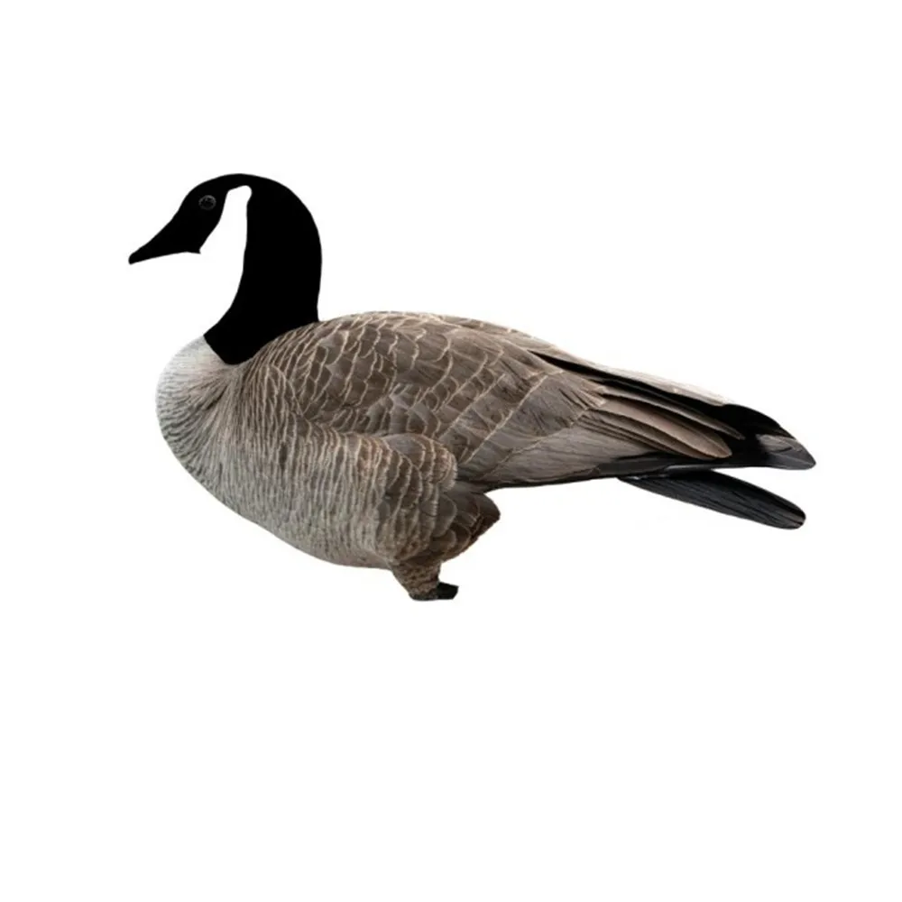 Canada Goose Silhouette Hunting Decoys From Xilei - Buy Goose Hunting