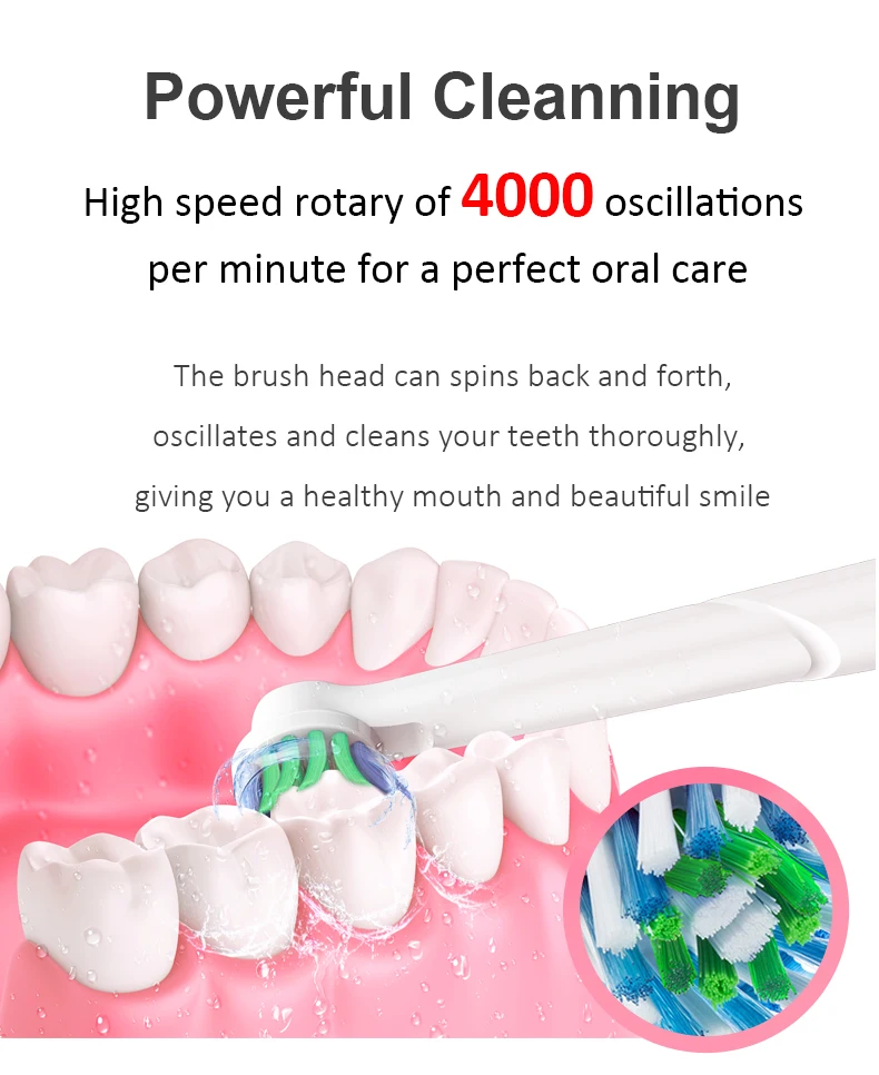 Advance Power Rechargeable Electric Toothbrush with Automatic Timer and Pre cision Clean Brush Head