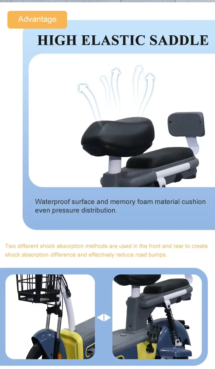 Cheap Electric Bike Full Suspension 800W 48V 12 Inch Electric Bike for Adults