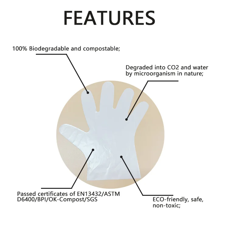 Eco Biodegradable Environmentally Friendly Sustainable Packaging