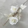 Blanc, Alice à 2 têtes