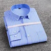4-Striscia Blu