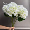 Milky white-new style
