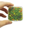 colorful Orange-yellow - mo small box pack