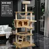 Starry Sky Meow - Flagship Edition
