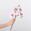 Magnolia del lago occidentale-viola chiaro-60 cm