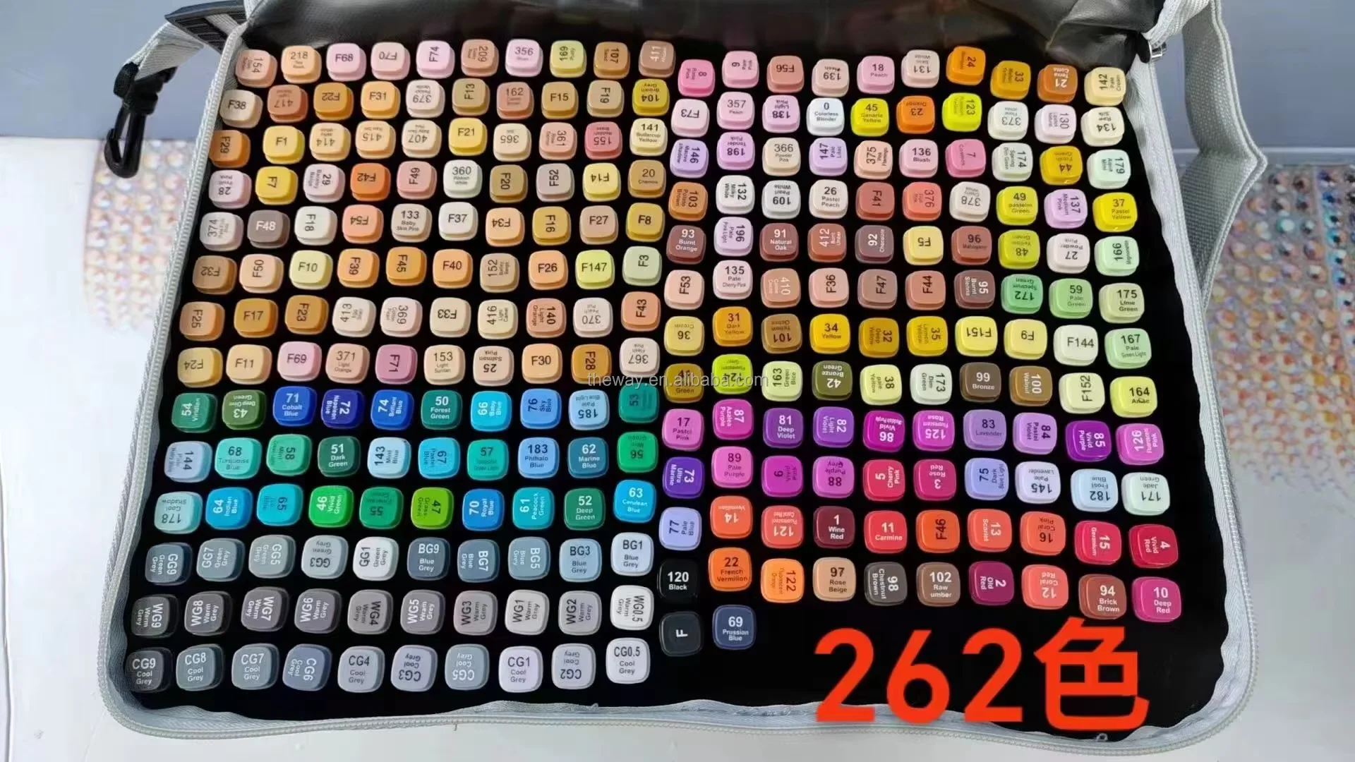 262 Colors Dual Tip Alcohol Markers Set for Art & Drawing