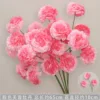 Pack de 10 piezas de Peonía Hibisco Rosa