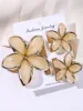 Carton beige