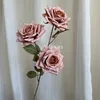 3 mocha Rose light coffee