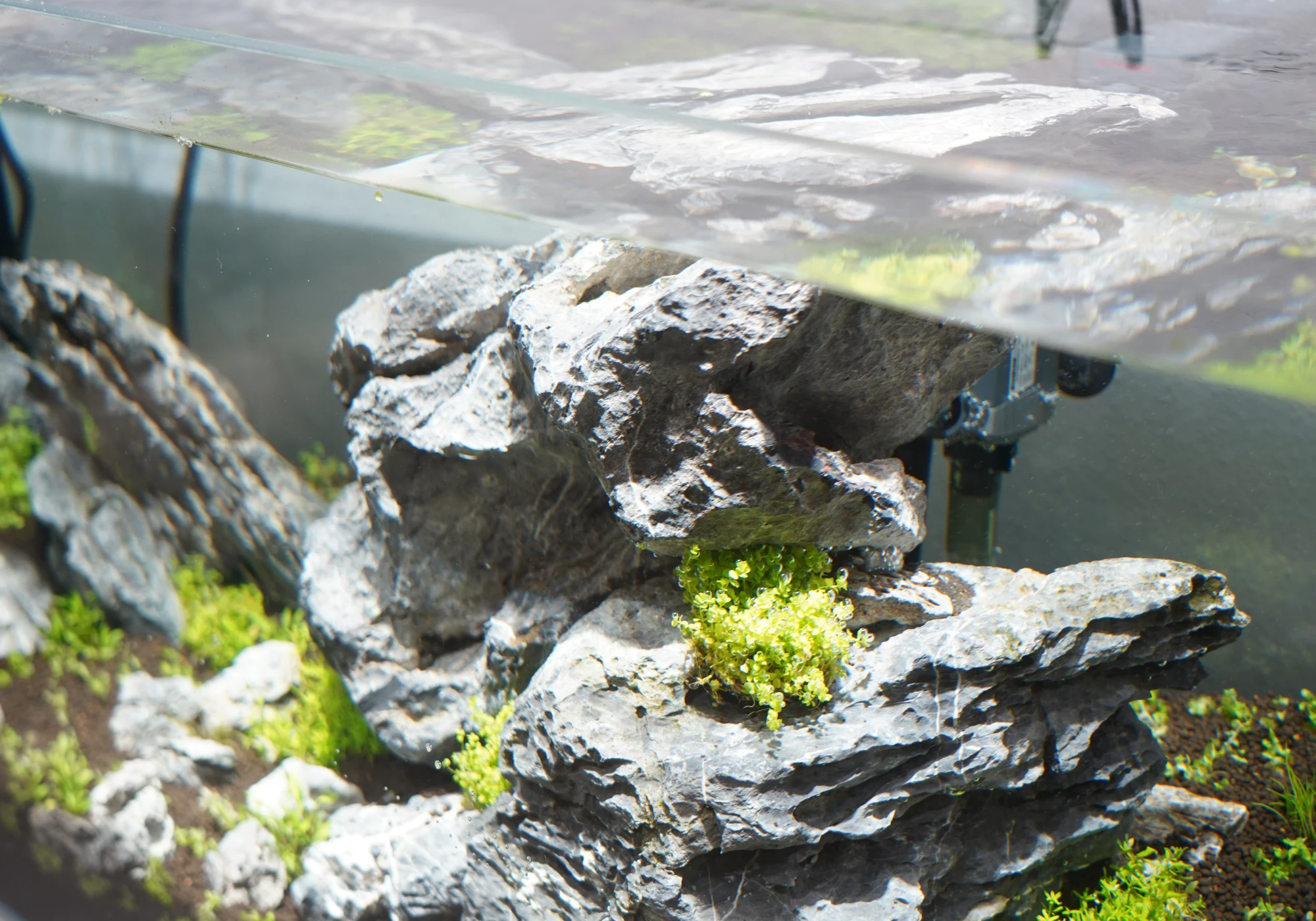 SUSANOO 10W LED Aquarium Lights - High Quality & Waterproof