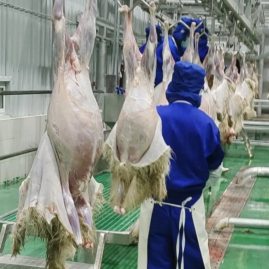 Automatic Halal Sheep Slaughter Line Complete Sheep Slaughterhouse Abattoir Equipment Turnkey Project