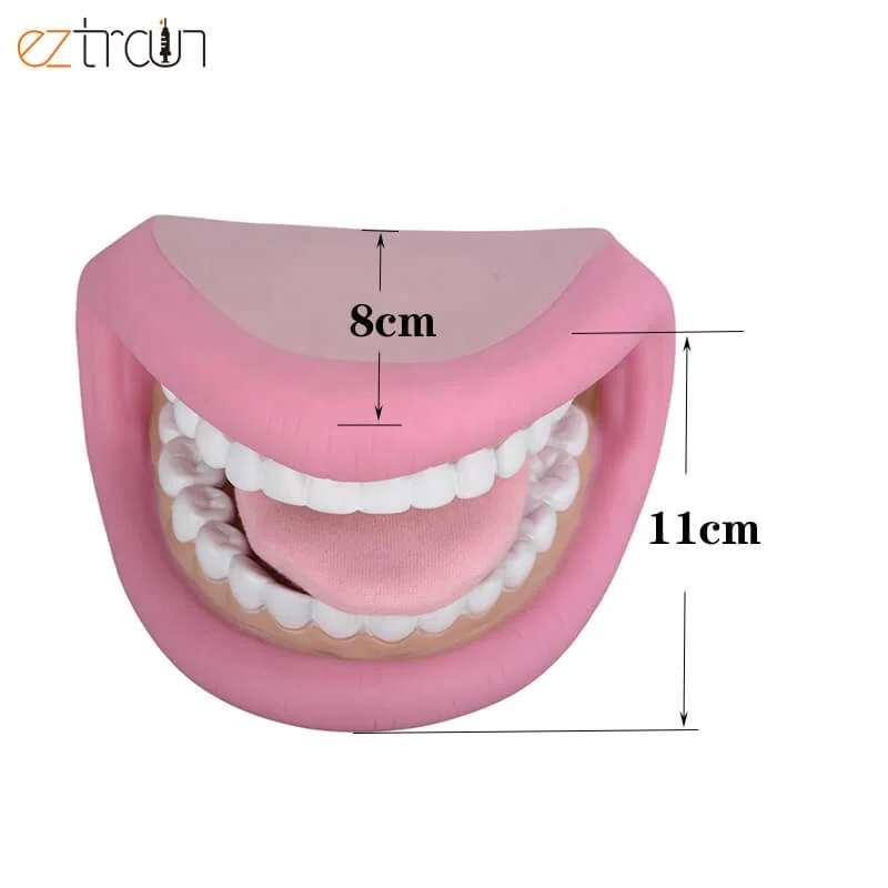 Custom PVC Hand Puppet With Teeth Movable Tongue Include Toothbrush Dental Model Mouth Puppet
