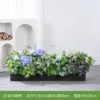 Dragon Horse Spirit - Adecuado para cajas de flores de 100 cm