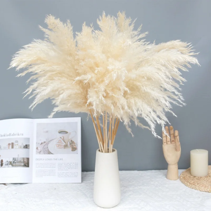 O-p609 Wholesale Dried Pampas Decor Fluffy Small Dried Natural Pampas ...