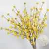 Yellow handball flower branch