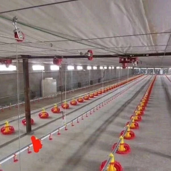 Chicken Equipment Automatic Broiler Equipment Automatic Poultry Pan Feeding Line Poultry Chain Feeding Line System
