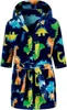 Dinosaur Navy