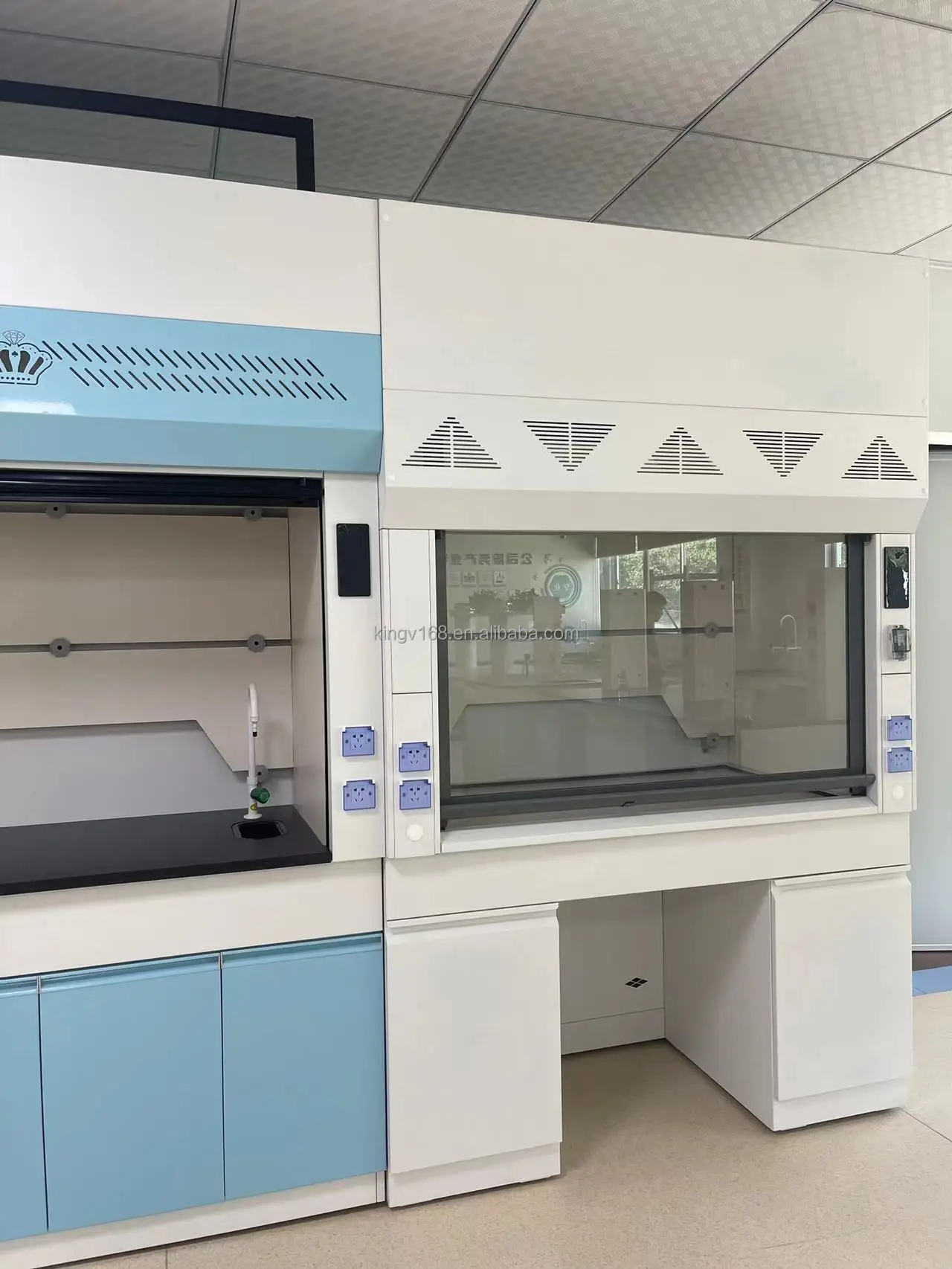 Lab Customization Kingv Custom Fume Hood Chemical Fume Cupboard Laboratory Equipment Lab ...