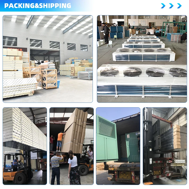 800 Tons Factory Customized Large Cold Storage Room Cooling Room for Food and Vegetable