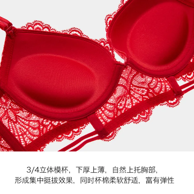 Women's Bra Panty Set Lace Embroidery Ladies Sexy Underwear Set